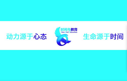 南京時(shí)間鳥教育咨詢 引領(lǐng)未來，成就卓越